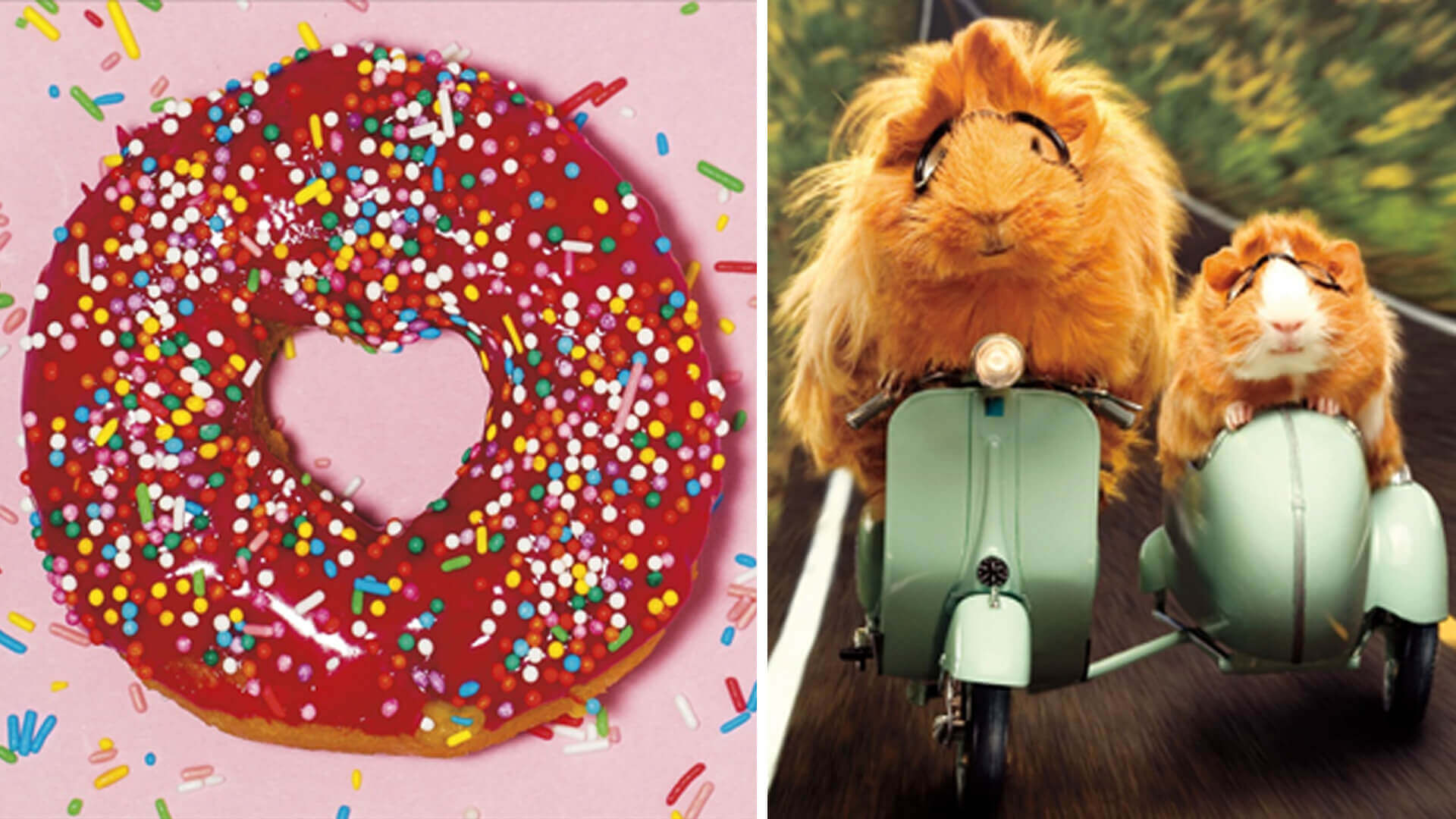 Quirky cards that are ideal for quirky festivities AI Global Media Ltd