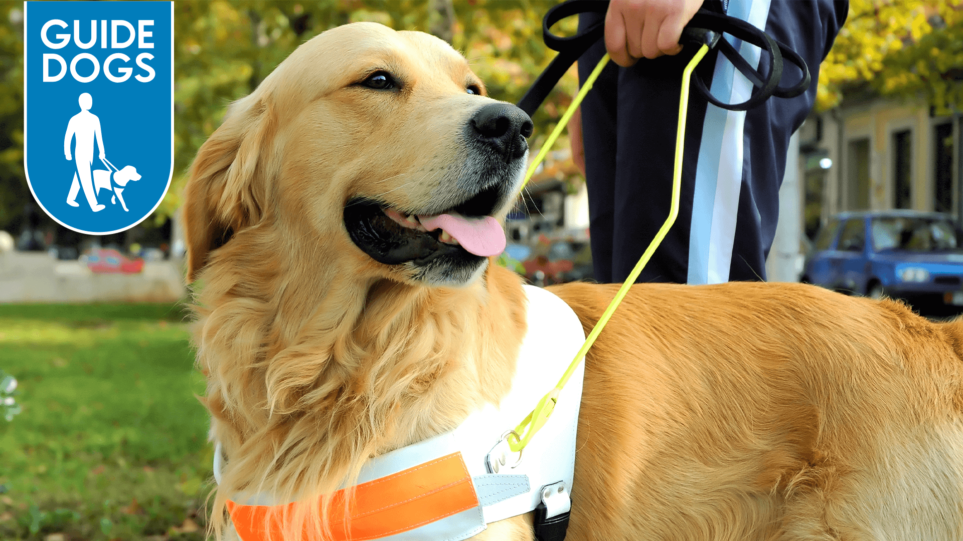 Guide Dogs Charity