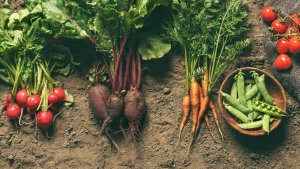 What Happens To Your Body If You Only Eat Organic Food 300x169