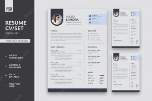 How To Write Top Resume Formats 300x200
