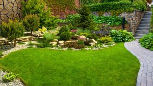 5 Landscaping Design Ideas For Small Yards 300x169