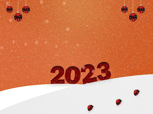 12 Management Tips To Grow Your Business In 2023