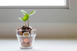 You And Your Money Making It Grow 300x200